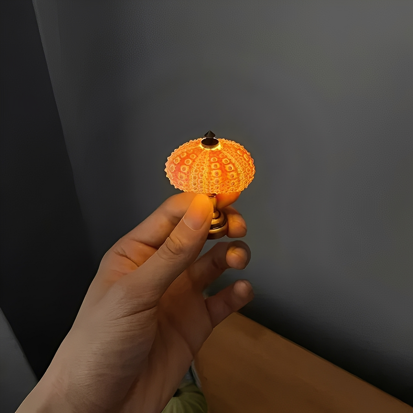 Nila – DIY Seeigel-Nachtlicht