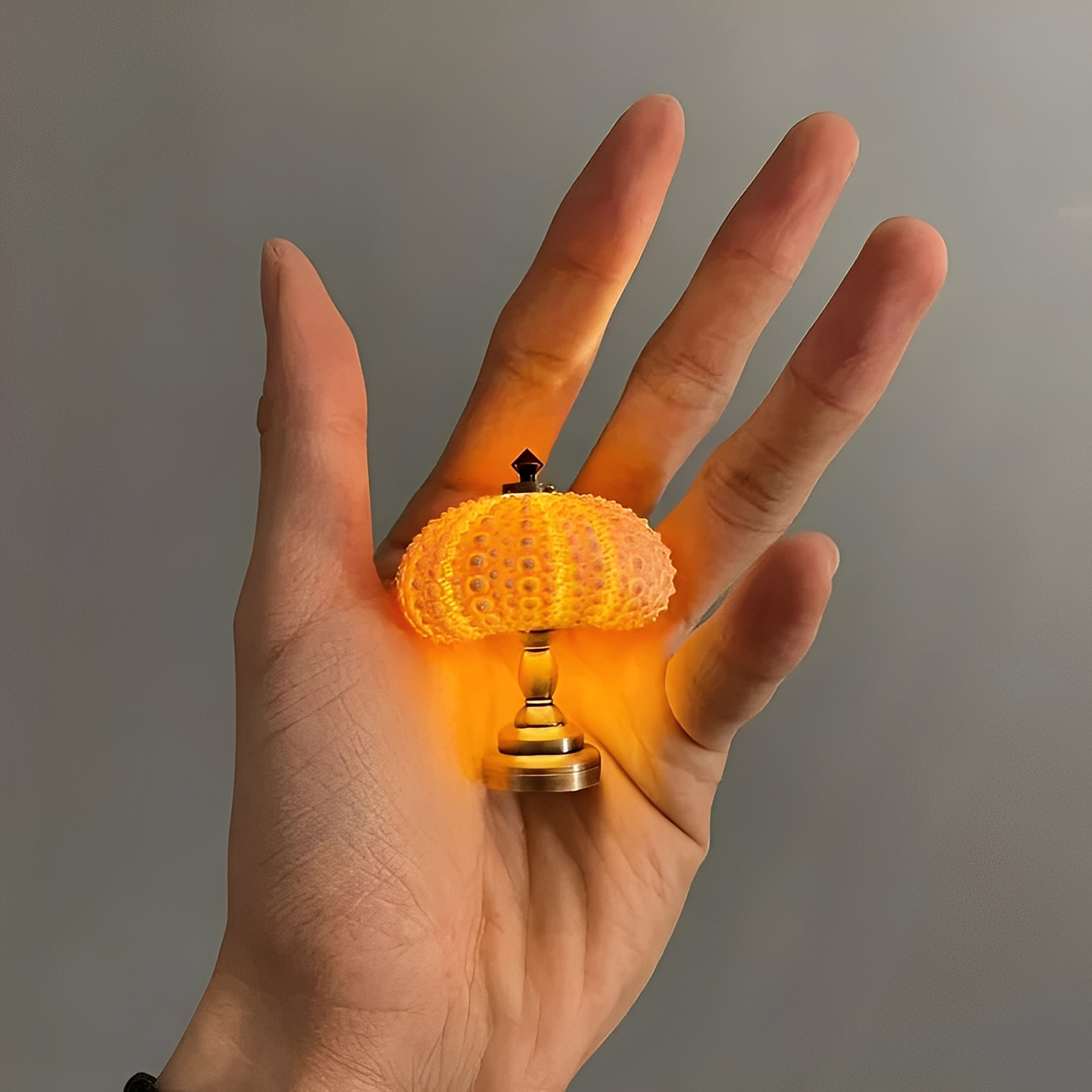 Nila – DIY Seeigel-Nachtlicht
