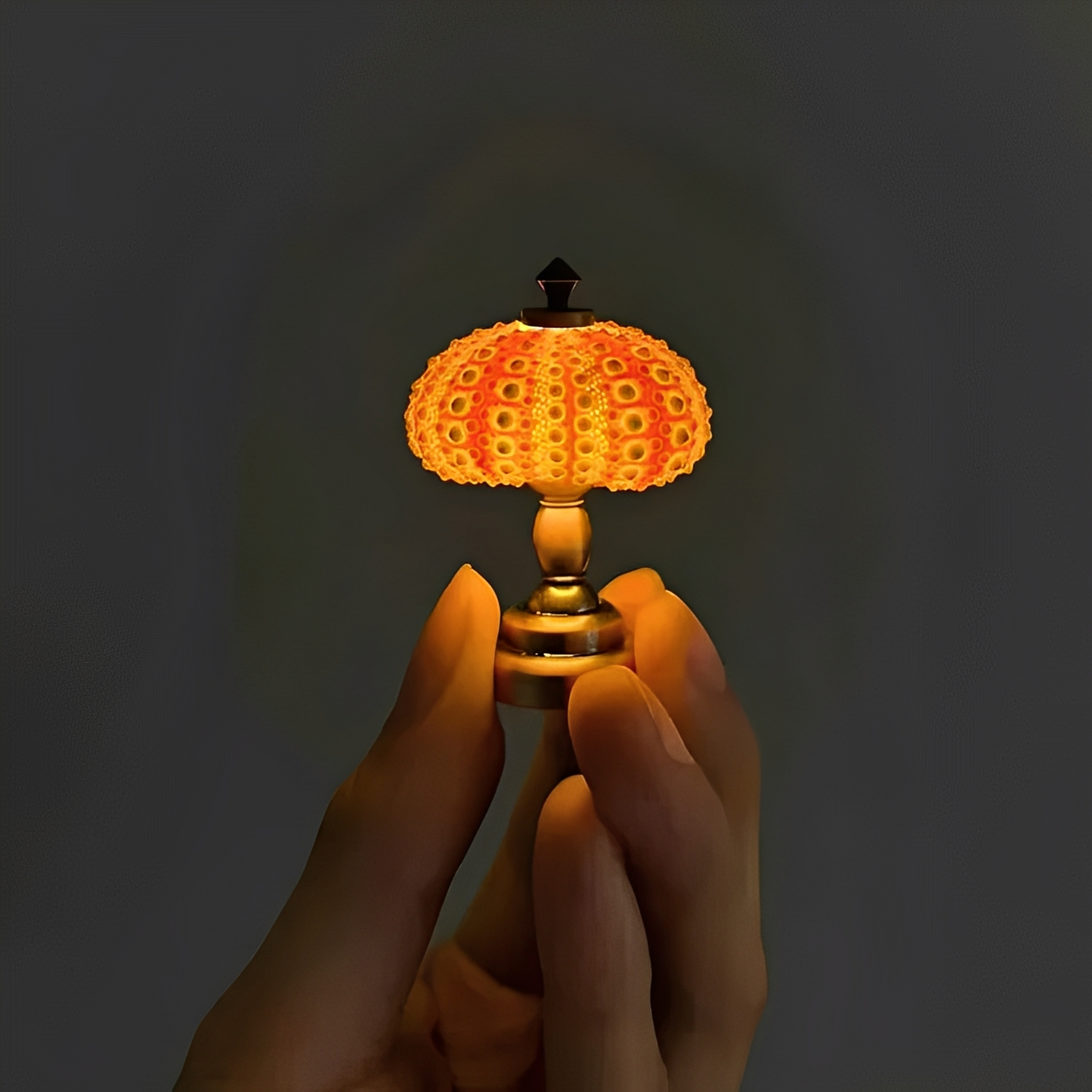 Nila – DIY Seeigel-Nachtlicht