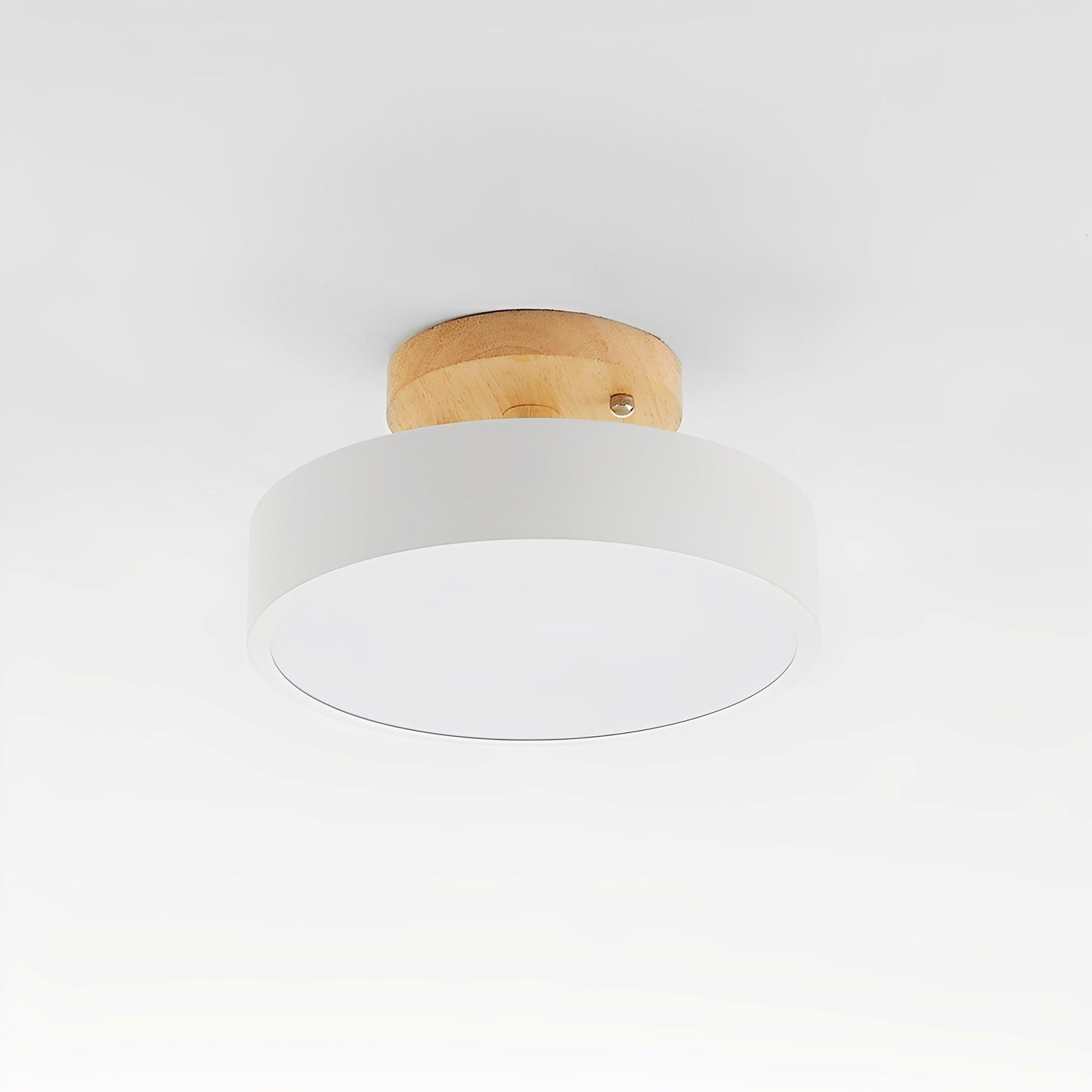Elayne – Zeitgemäße Deckenlampe für Korridor & Wohnbereich