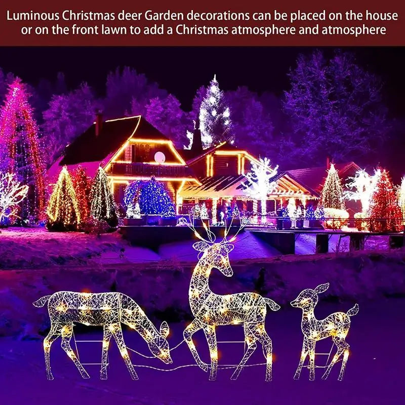 leuchtende Familie Liebe draußen Licht