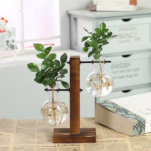 Terrarium Holzglasflasche Pflanzenvase