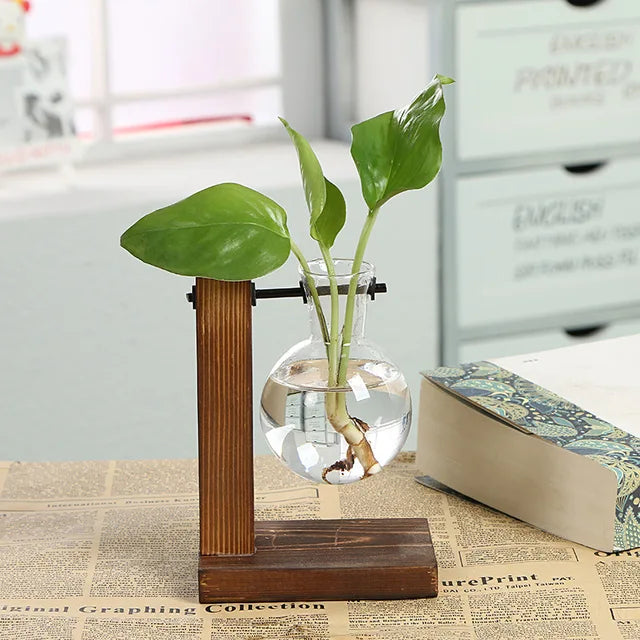 Terrarium Holzglasflasche Pflanzenvase