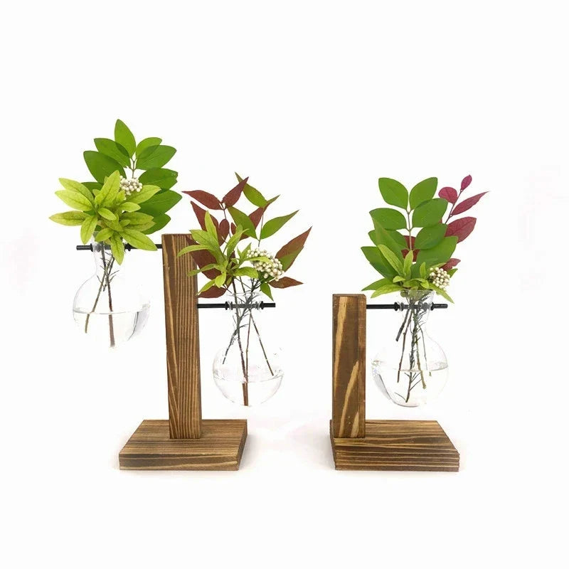 Terrarium Holzglasflasche Pflanzenvase