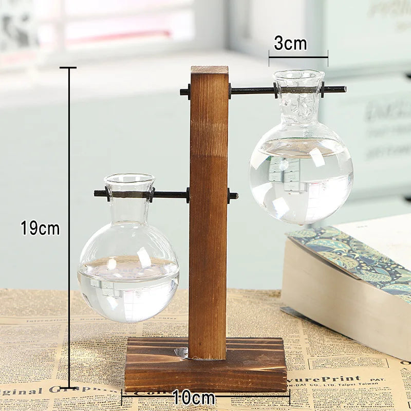 Terrarium Holzglasflasche Pflanzenvase