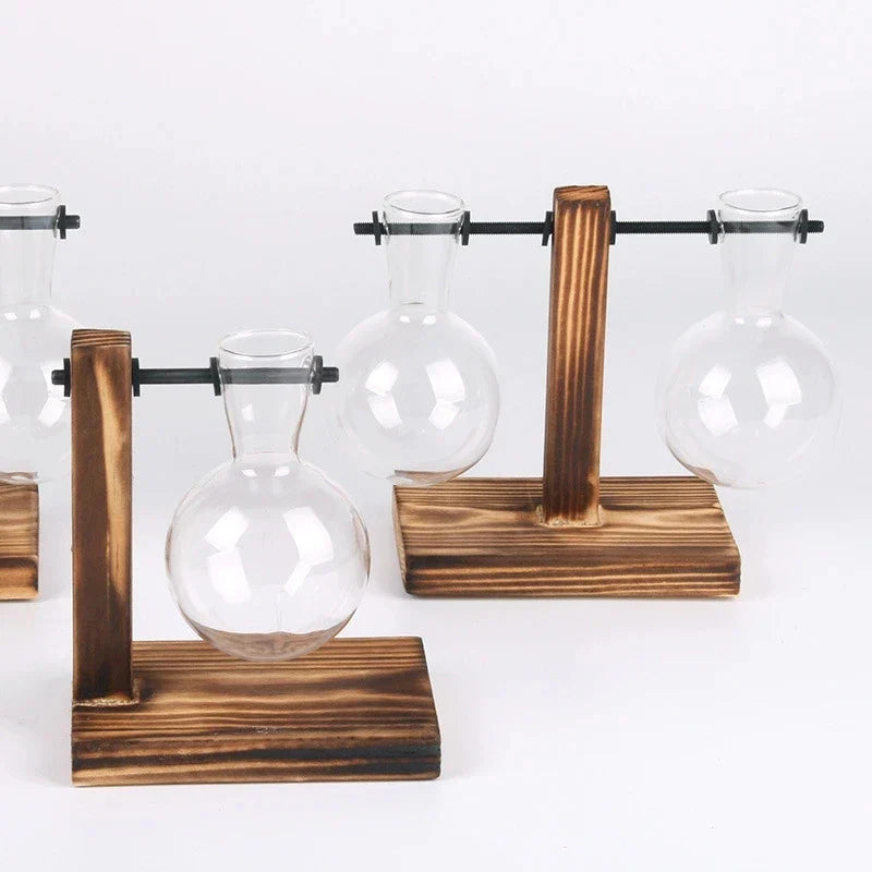 Terrarium Holzglasflasche Pflanzenvase