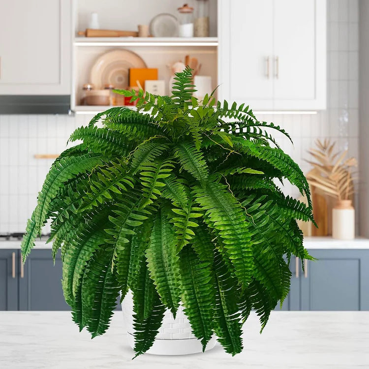 FernFresh – UV-beständiger, naturgetreuer künstlicher Boston-Farn