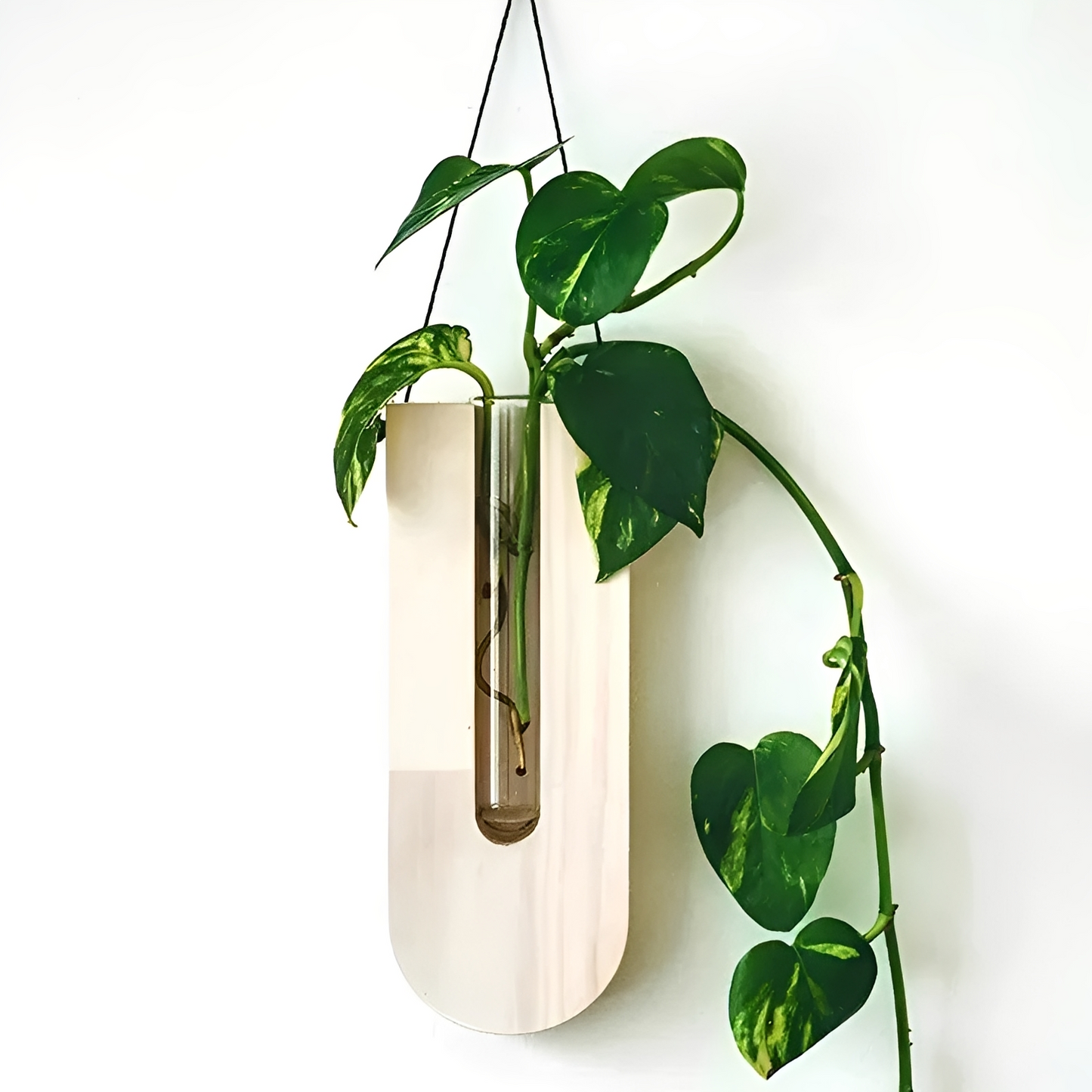 Haruto – Einfache Wandvase im Naturholz-Stil
