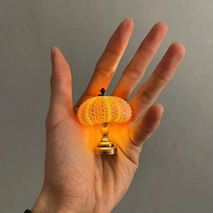 SeaGlow – Kreatives DIY-Nachtlicht in Seeigel-Optik für Kinderzimmer