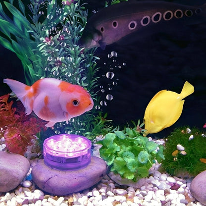 Lior – LED-Licht für den Einsatz unter Wasser