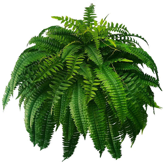 FernFresh – UV-beständiger, naturgetreuer künstlicher Boston-Farn