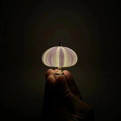 SeaGlow – Kreatives DIY-Nachtlicht in Seeigel-Optik für Kinderzimmer