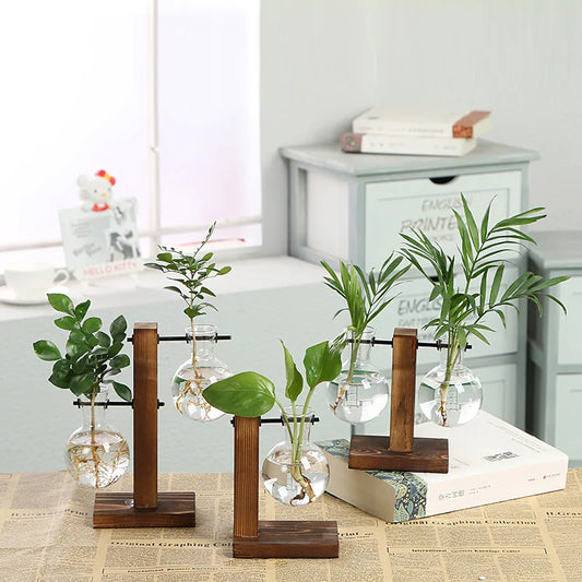 Terrarium Holzglasflasche Pflanzenvase