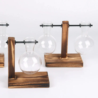 Terrarium Holzglasflasche Pflanzenvase